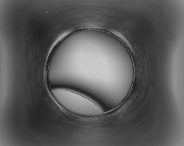 X0000086911285200704161001