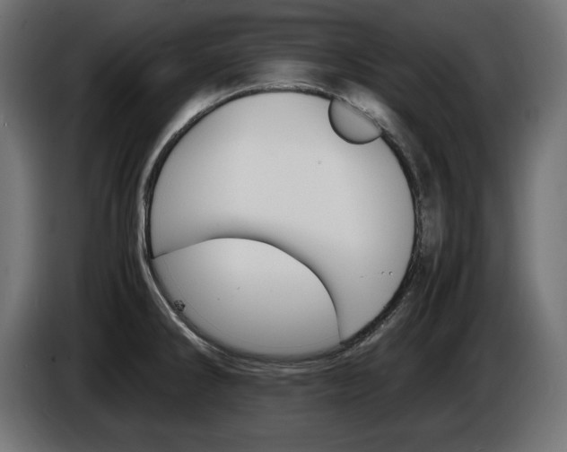 X0000086911286200704161001