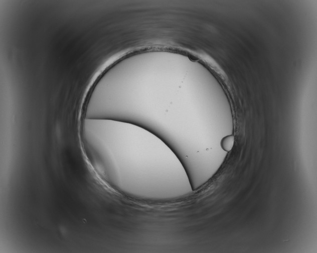 X0000086911287200704161001