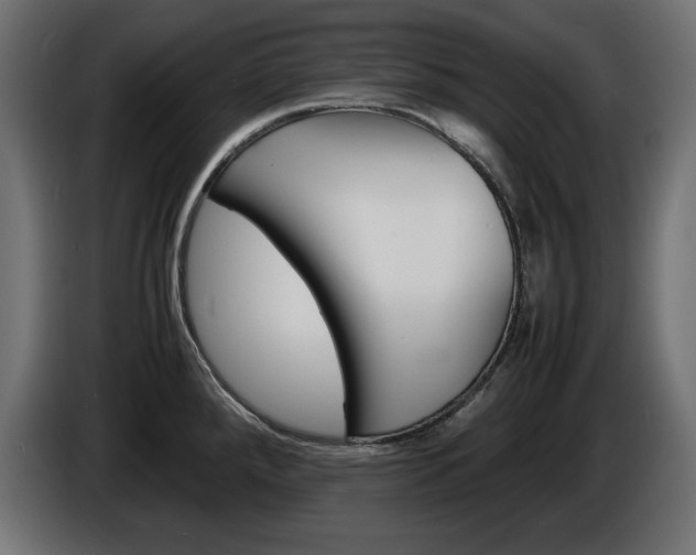 X0000086911288200704161001
