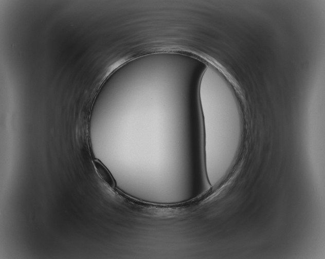 X0000086911289200704161001