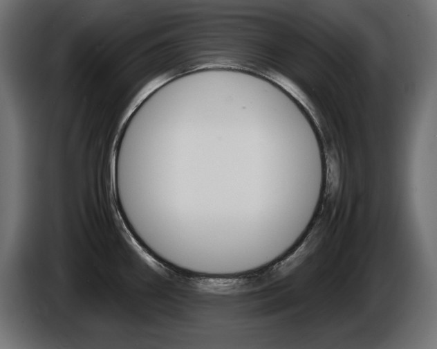 X0000086911290200704161001