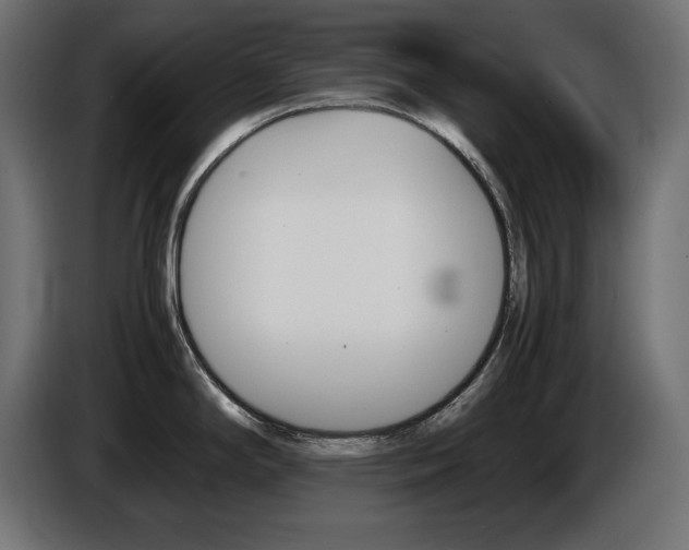 X0000086911294200704161001