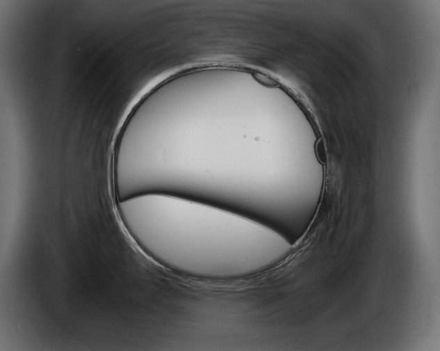 X0000086911295200704161001