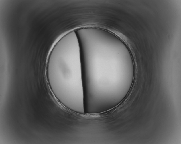 X0000086911296200704161001