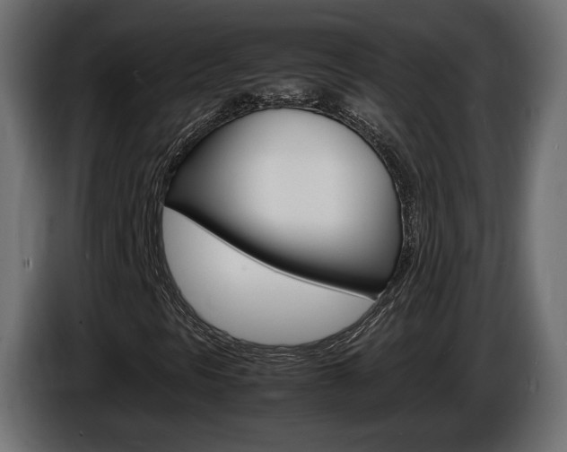 X0000086911297200704161000