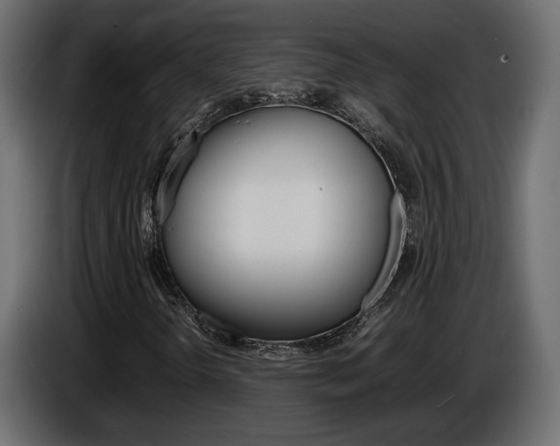 X0000086911298200704161000