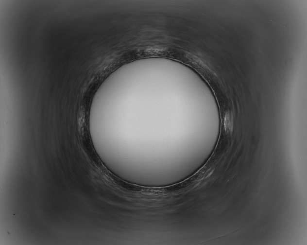 X0000086911299200704161000