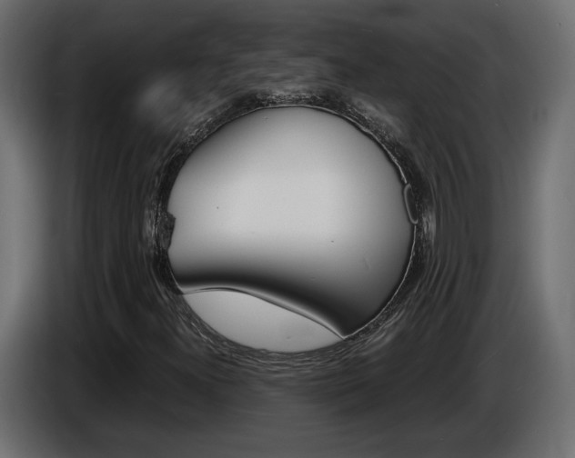 X0000086911300200704161000