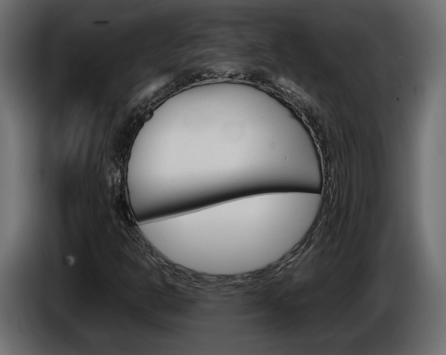 X0000086911302200704161000