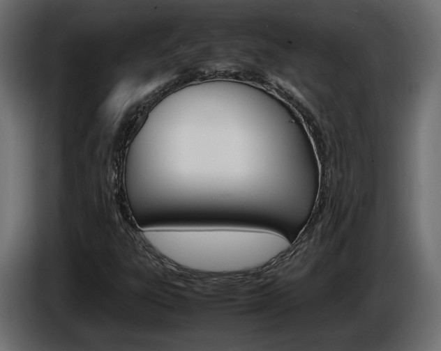 X0000086911303200704161000