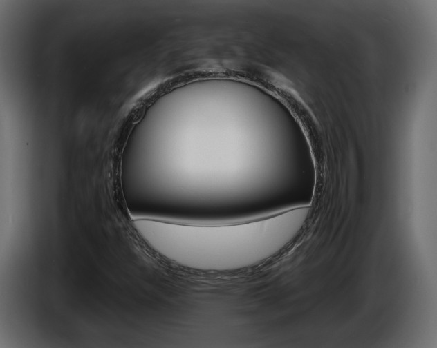 X0000086911304200704161000