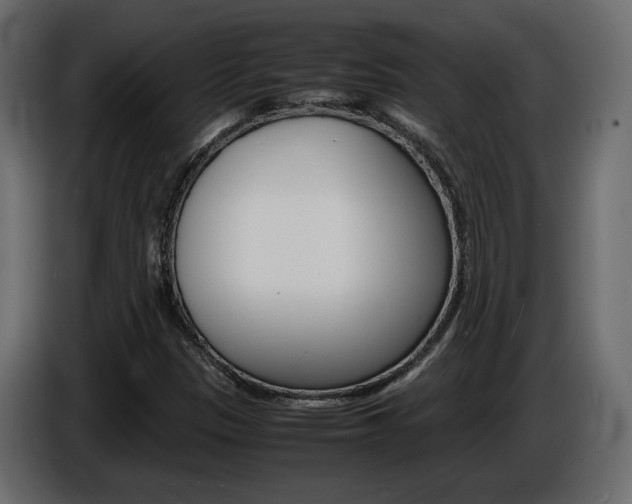 X0000086911305200704161000