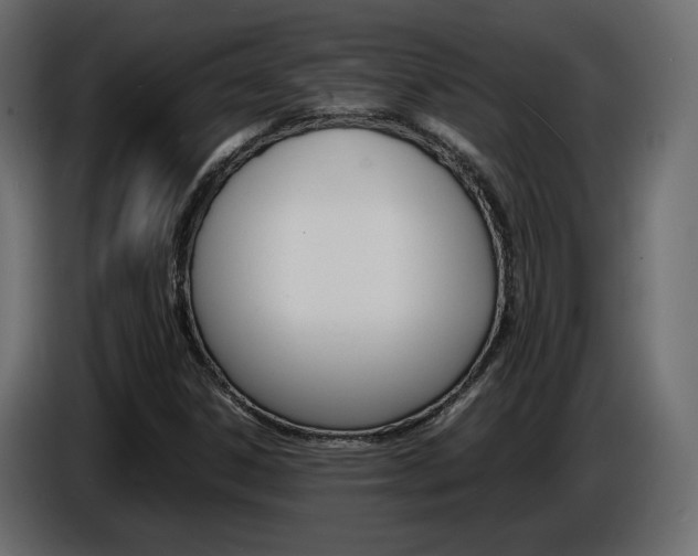 X0000086911306200704161000