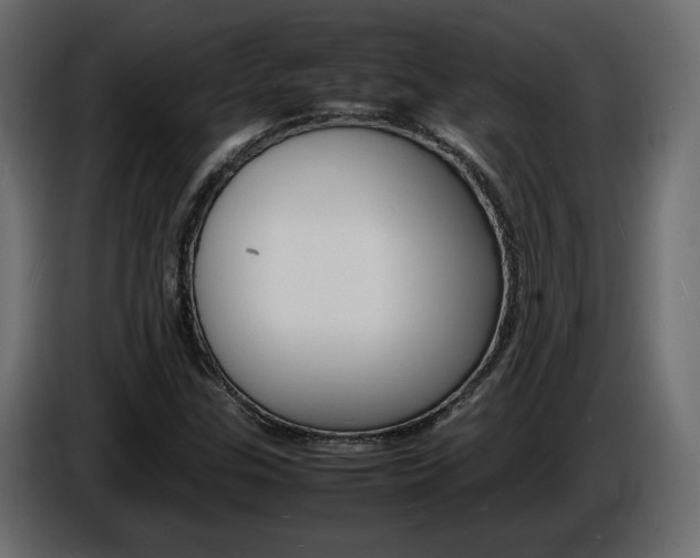 X0000086911307200704161000
