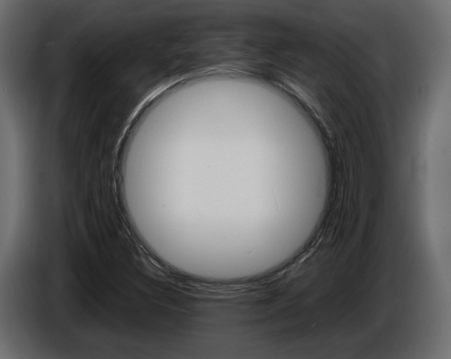 X0000086911308200704161000