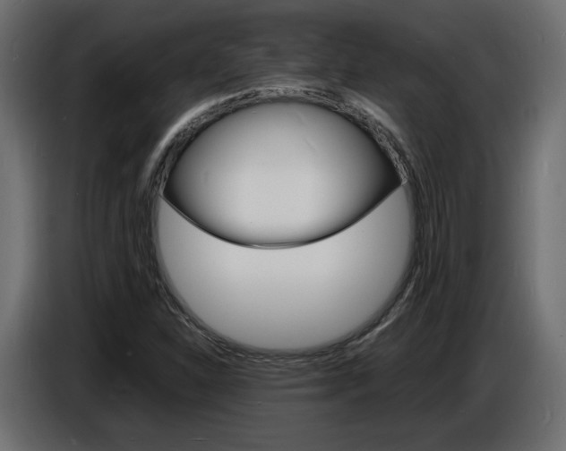 X0000086911310200704161000