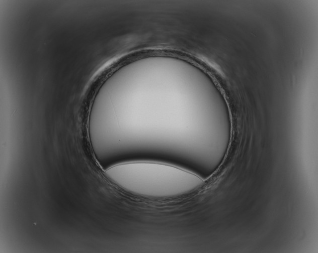 X0000086911311200704161000