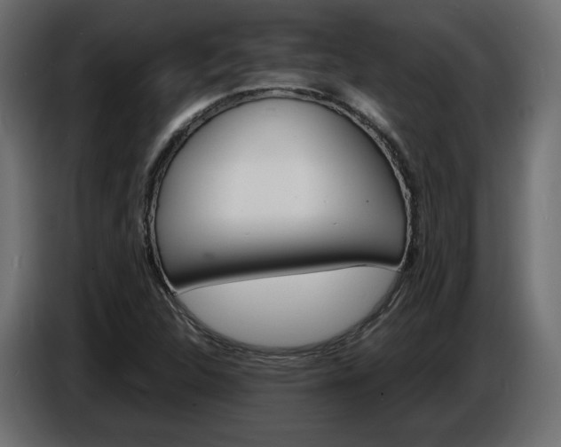 X0000086911312200704161000