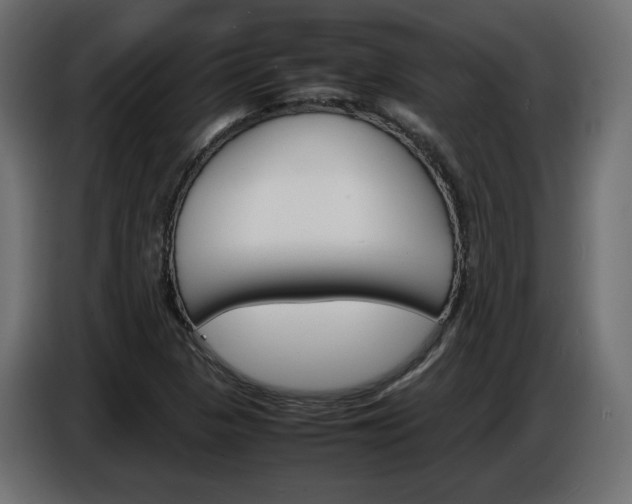 X0000086911313200704161000