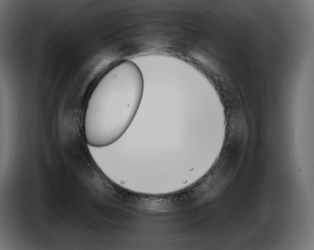 X0000086911314200704161000
