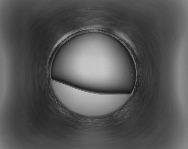 X0000086911316200704161000