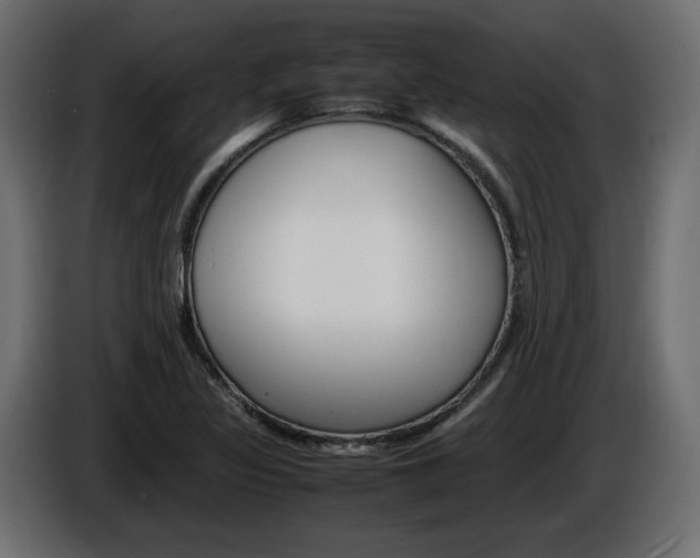 X0000086911317200704161000
