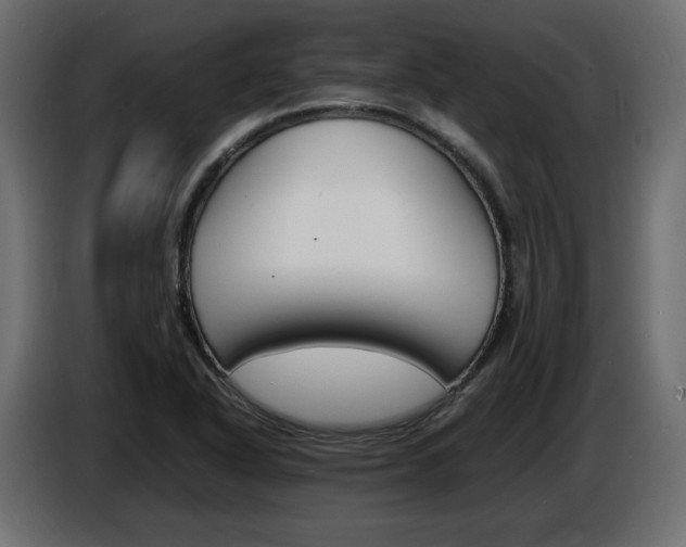 X0000086911318200704161000