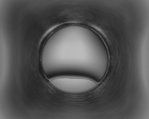 X0000086911319200704161000