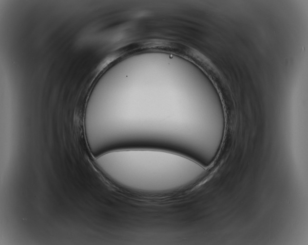 X0000086911321200704161000
