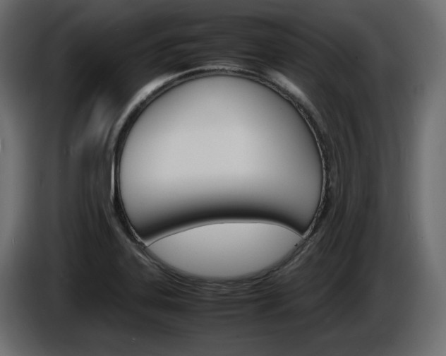 X0000086911323200704161000