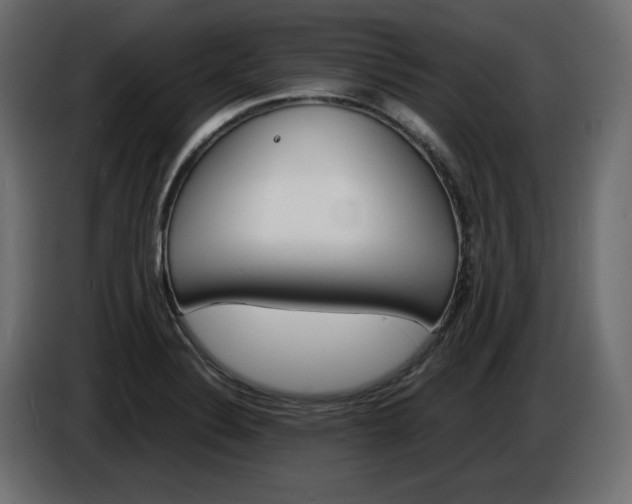 X0000086911324200704161000