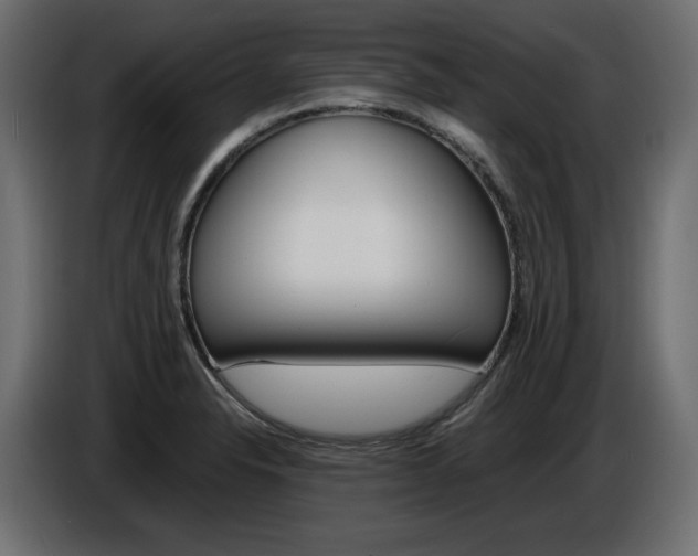 X0000086911326200704161000