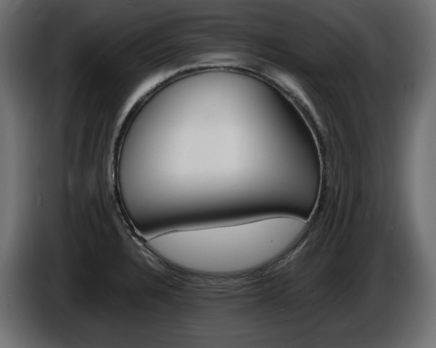 X0000086911328200704161000