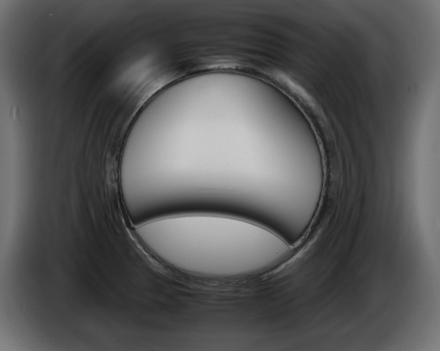 X0000086911329200704161000