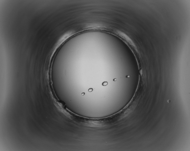 X0000086911330200704161000