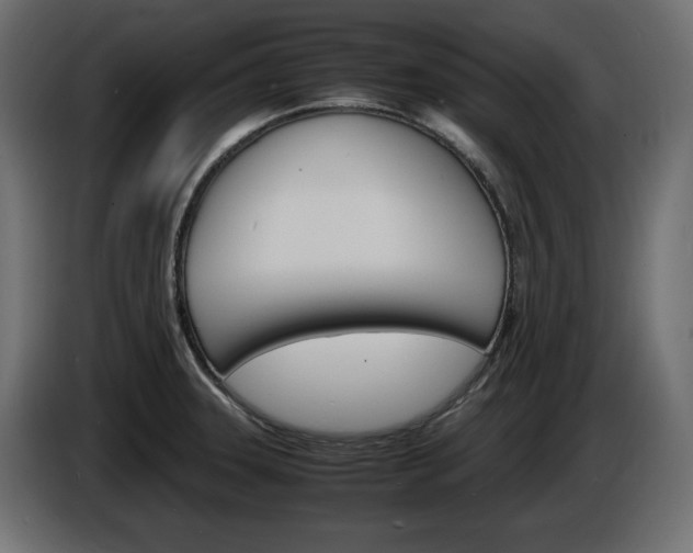 X0000086911331200704161000