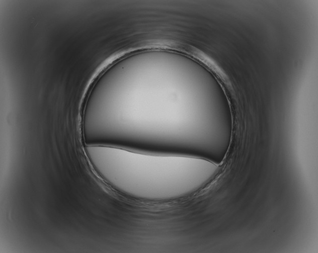 X0000086911332200704161000