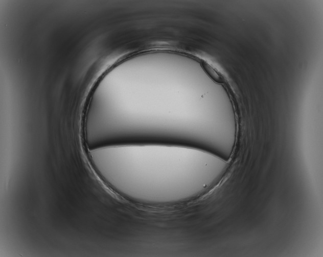 X0000086911333200704161000