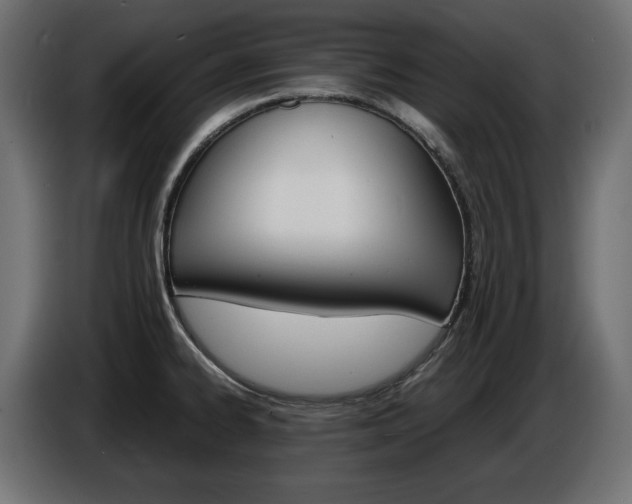 X0000086911334200704161000