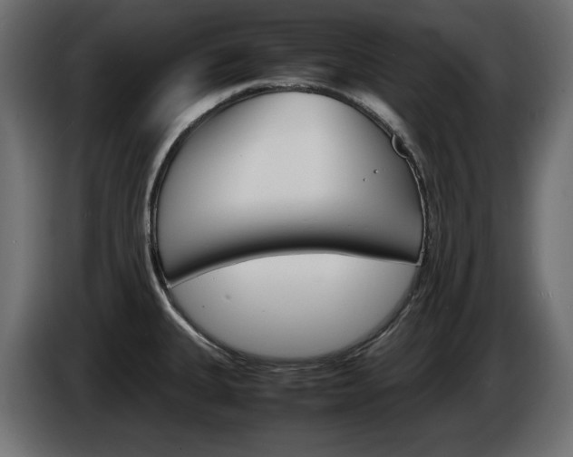 X0000086911335200704161000