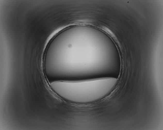 X0000086911336200704161000