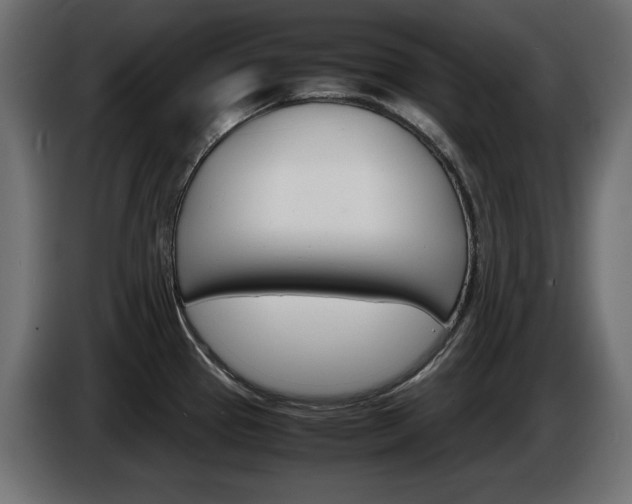 X0000086911337200704161000