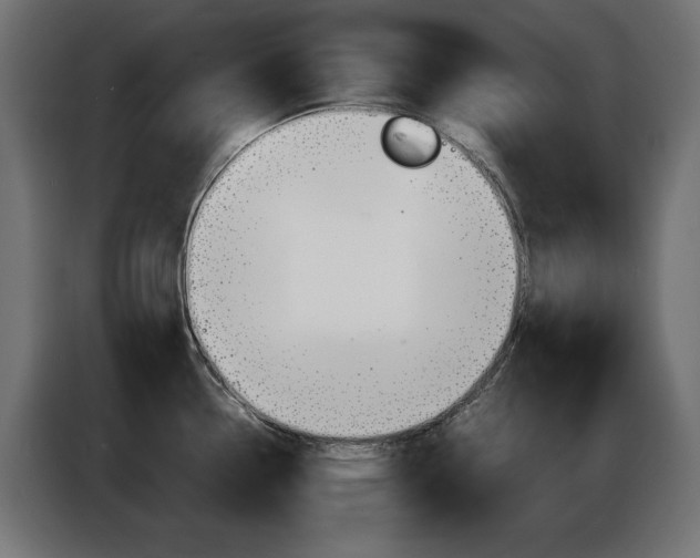 X0000086911338200704161000