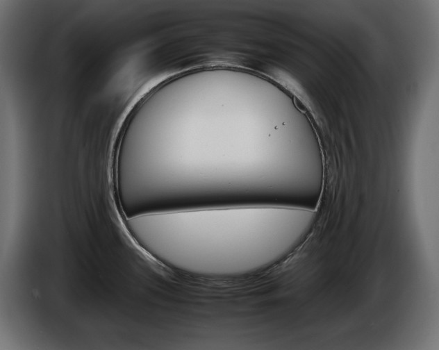 X0000086911339200704161001