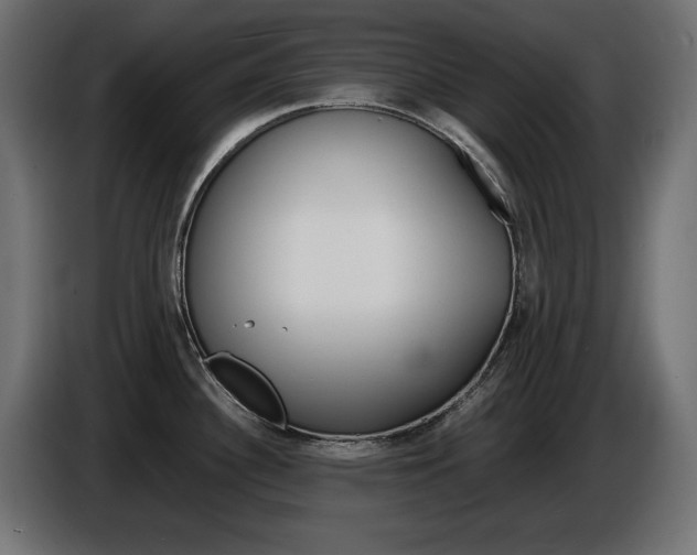 X0000086911340200704161001