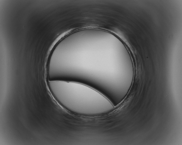 X0000086911341200704161001