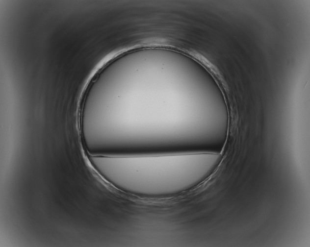 X0000086911342200704161001