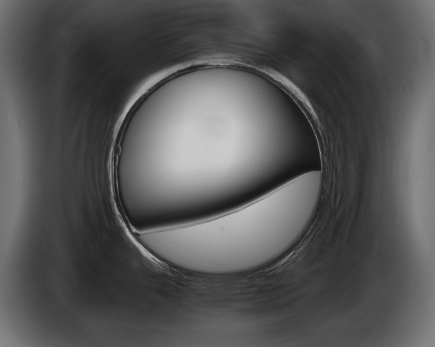 X0000086911343200704161001