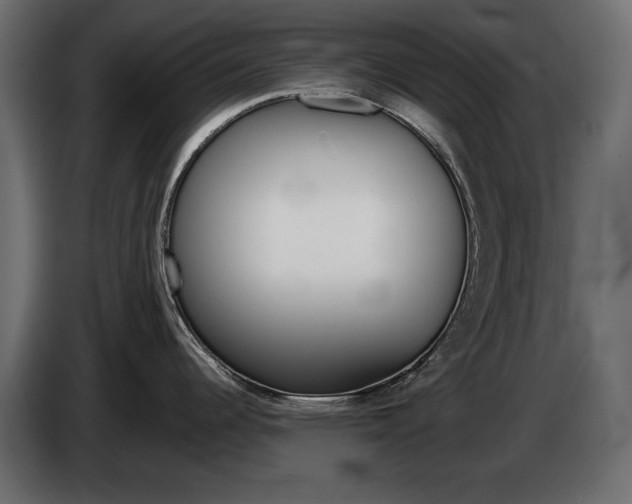 X0000086911344200704161001